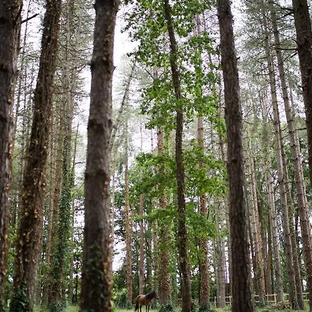 Jaktstuga Domaine De Pan *