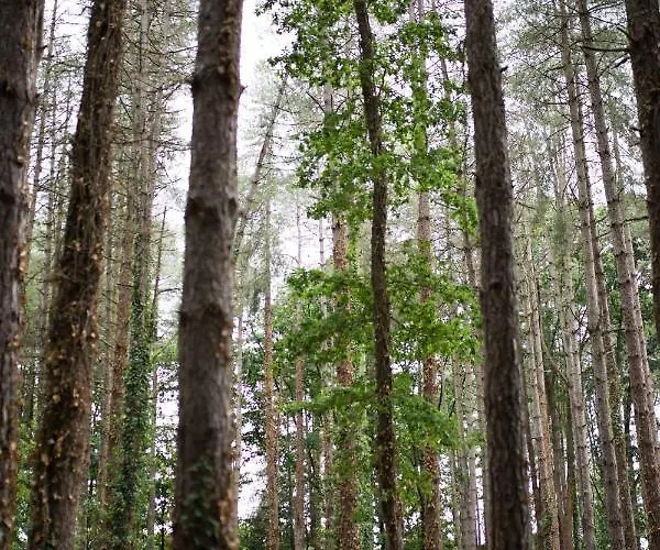 Lodge Domaine De Pan *